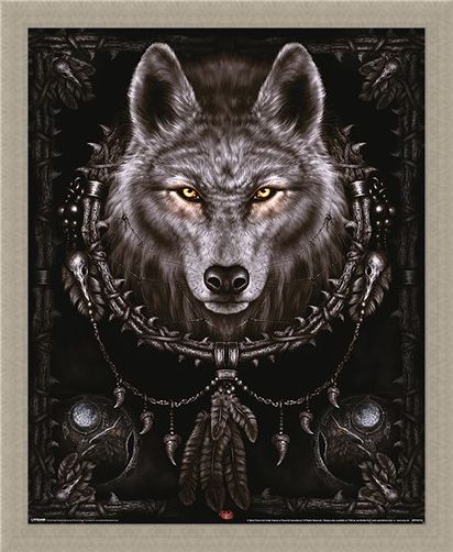 Framed Framed Wolf Dreams - Spiral