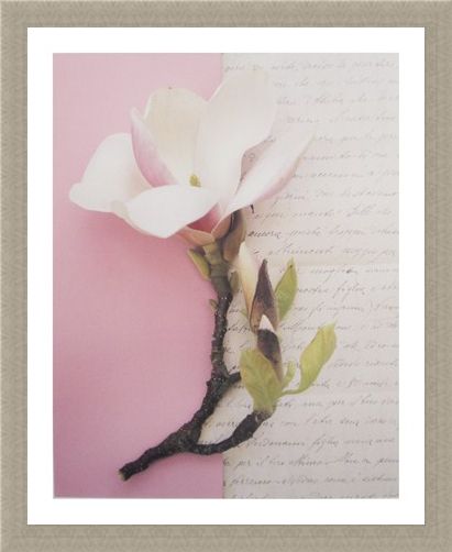 Framed Framed Emma's Garden Magnolia - Deborah Schenck