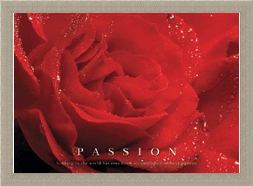 Framed Framed Rose Bloom - Passion, Inspirational
