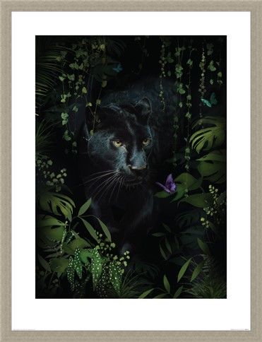 Framed Framed Panther - Summer Thornton