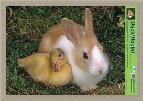 Framed Framed Best Friends - Duck And Rabbit