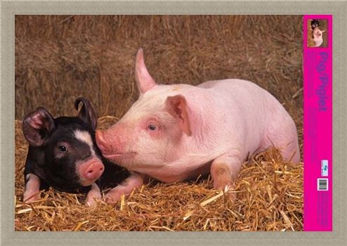 Framed Framed Curly Tailed Cutie - Piglets