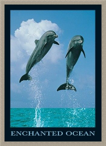 Framed Framed Dolphins Jumping - Enchanted Ocean