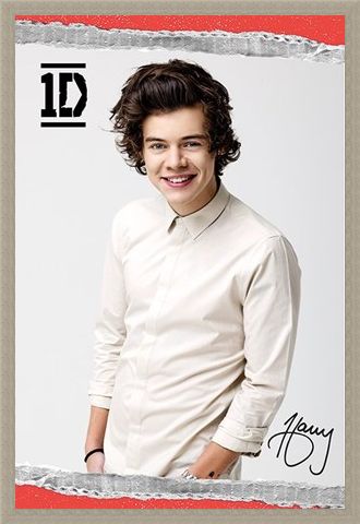 Framed Framed Harry - One Direction