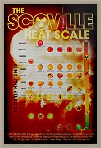 Framed Framed How Hot Can You Handle It? - The Scoville Heat Scale