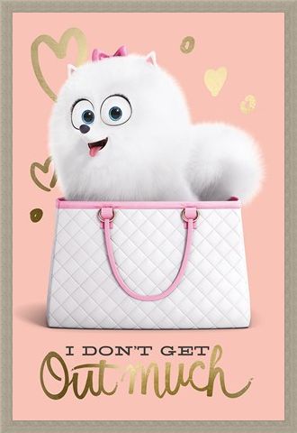 Framed Framed I Don't Get Out Much - The Secret Life Of Pets