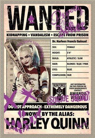 Framed Framed Harley Wanted - Suicide Squad