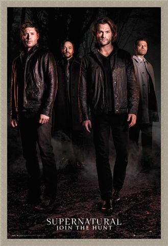 Framed Framed Season 12 - Supernatural