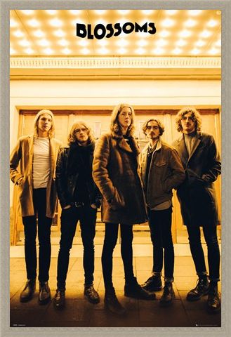 Framed Framed Band Line-up - The Blossoms