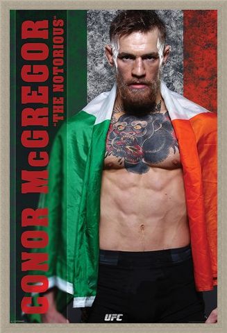 Framed Framed The Irish Champion - Conor McGregor