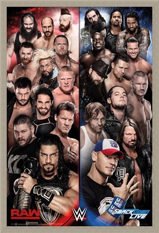 Framed Framed Raw vs Smackdown - WWE