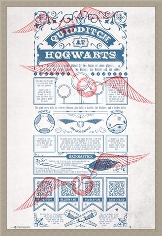 Framed Framed Rough Game, Quidditch - Harry Potter