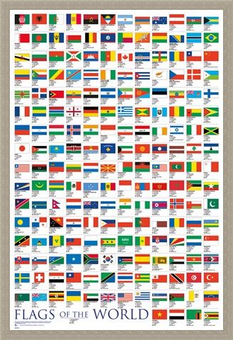 Framed Framed Flags Of The World - Educational