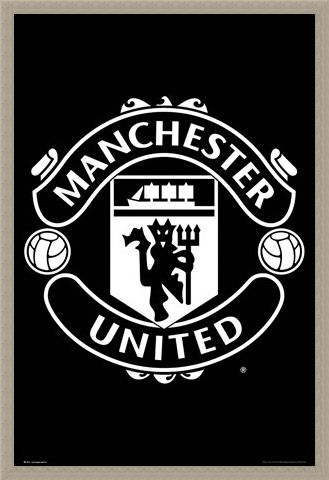 Framed Framed Crest 17-18 - Manchester United