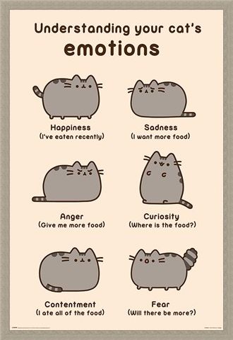 Framed Framed Cats Emotions - Pusheen