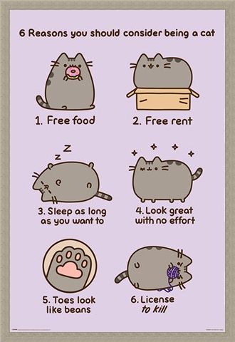 Framed Framed Reasons To Be A Cat - Pusheen