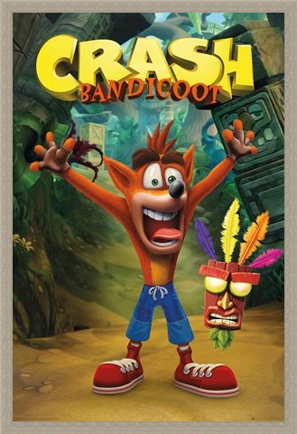 Framed Framed Crash and Aku Aku - Crash Bandicoot
