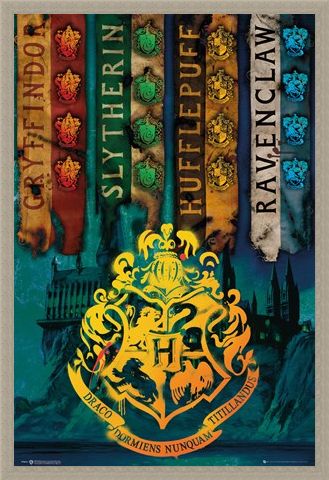 Framed Framed House Flags - Harry Potter