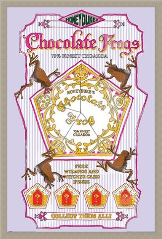 Framed Framed Honeydukes Chocolate Frogs - Harry Potter