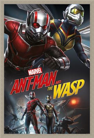 Framed Framed Ant-Man and The Wasp Dynamic - Marvel