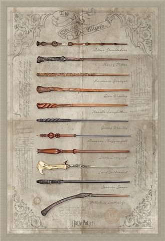 Framed Framed The Wand Chooses The Wizard - Harry Potter