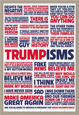 Framed Framed Trumpisms - President Trump