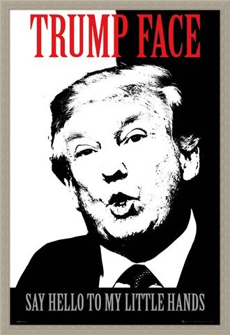 Framed Framed Say Hello To My Little Hands - Trump Face
