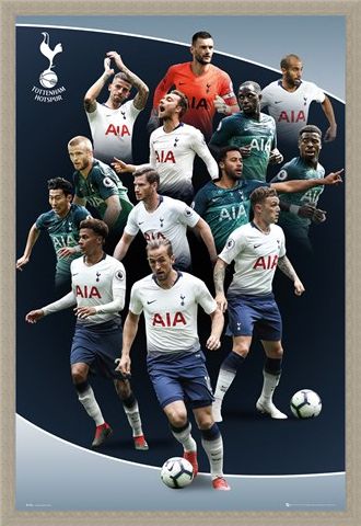 Framed Framed Players 18-19 - Tottenham Hotspur