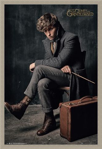 Framed Framed Newt Scamander - Fantastic Beasts 2