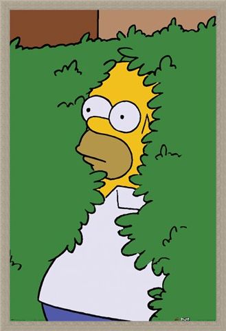 Framed Framed Homer Bush - The Simpsons