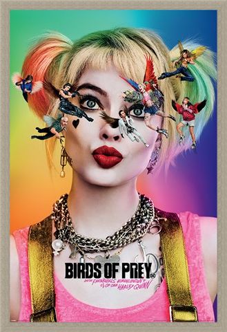 Framed Framed Seeing Stars - Birds Of Prey