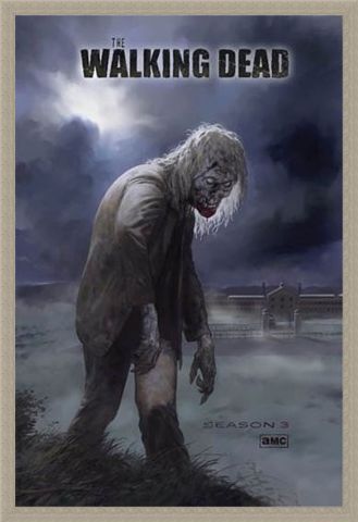 Framed Framed Flesh Eating Walker! - The Walking Dead