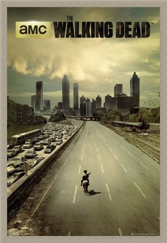 Framed Framed Andrew Lincoln Is Rick Grimes - The Walking Dead