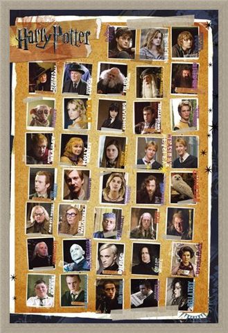 Framed Framed Character Montage - Harry Potter