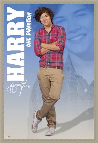 Framed Framed Harry - One Direction