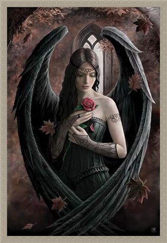 Framed Framed Angel Rose - Anne Stokes
