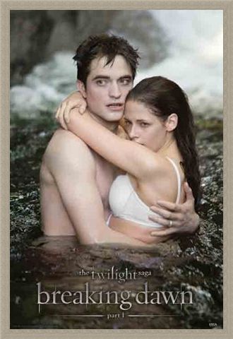 Framed Framed Honeymoon Perfection - Twilight: Breaking Dawn