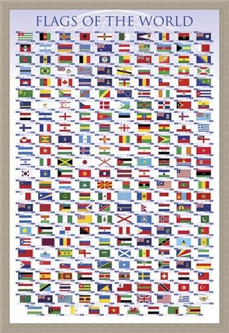 Framed Framed Flags of the World - Educational Chart