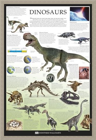 Framed Framed Dinosaurs - Dorling Kindersley