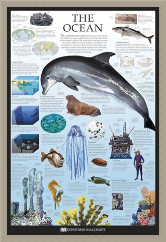 Framed Framed The Ocean - Dorling Kindersley