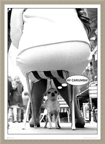 Framed Framed Ay-Carumba - Dog Under Chair