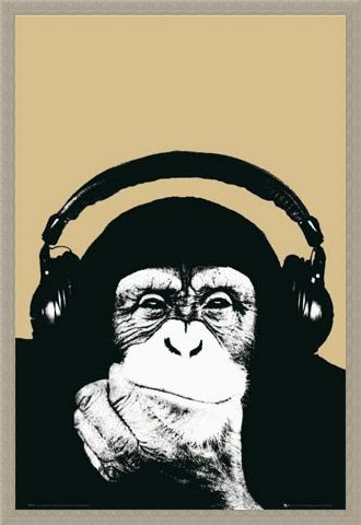 Framed Framed Monkey with Headphones - Steez