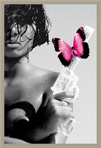 Framed Framed Killing me Softly - Dangerous Diva