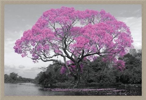 Framed Framed Tree In Bloom - Natural Pink