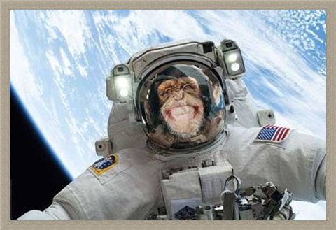 Framed Framed Out Of This World - Cheeky Chimp