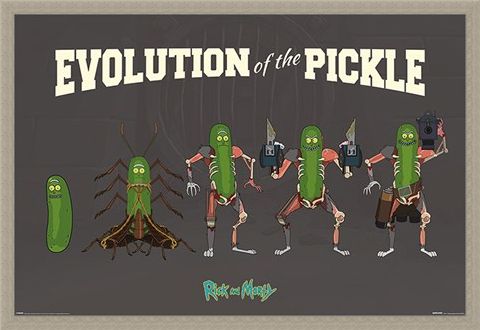 Framed Framed Evolution Of The Pickle - Rick and Morty