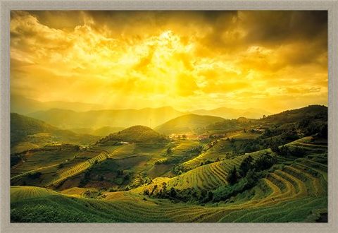 Framed Framed Rice Fields Of Yên Bái - Mountain Masterpiece