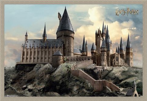 Framed Framed Hogwarts Day - Harry Potter