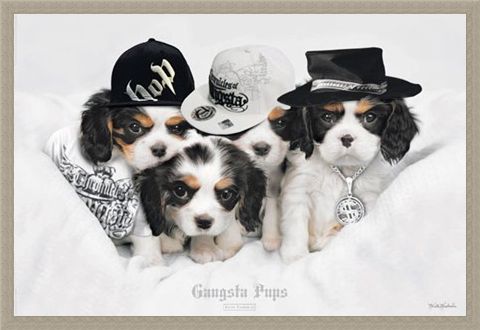 Framed Framed Gangsta Pups - Keith Kimberlin