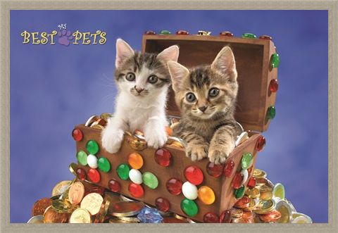 Framed Framed Kitten Treasure - My Best Pets